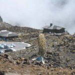 Park services at Haleakala getting back to normal after shutdown